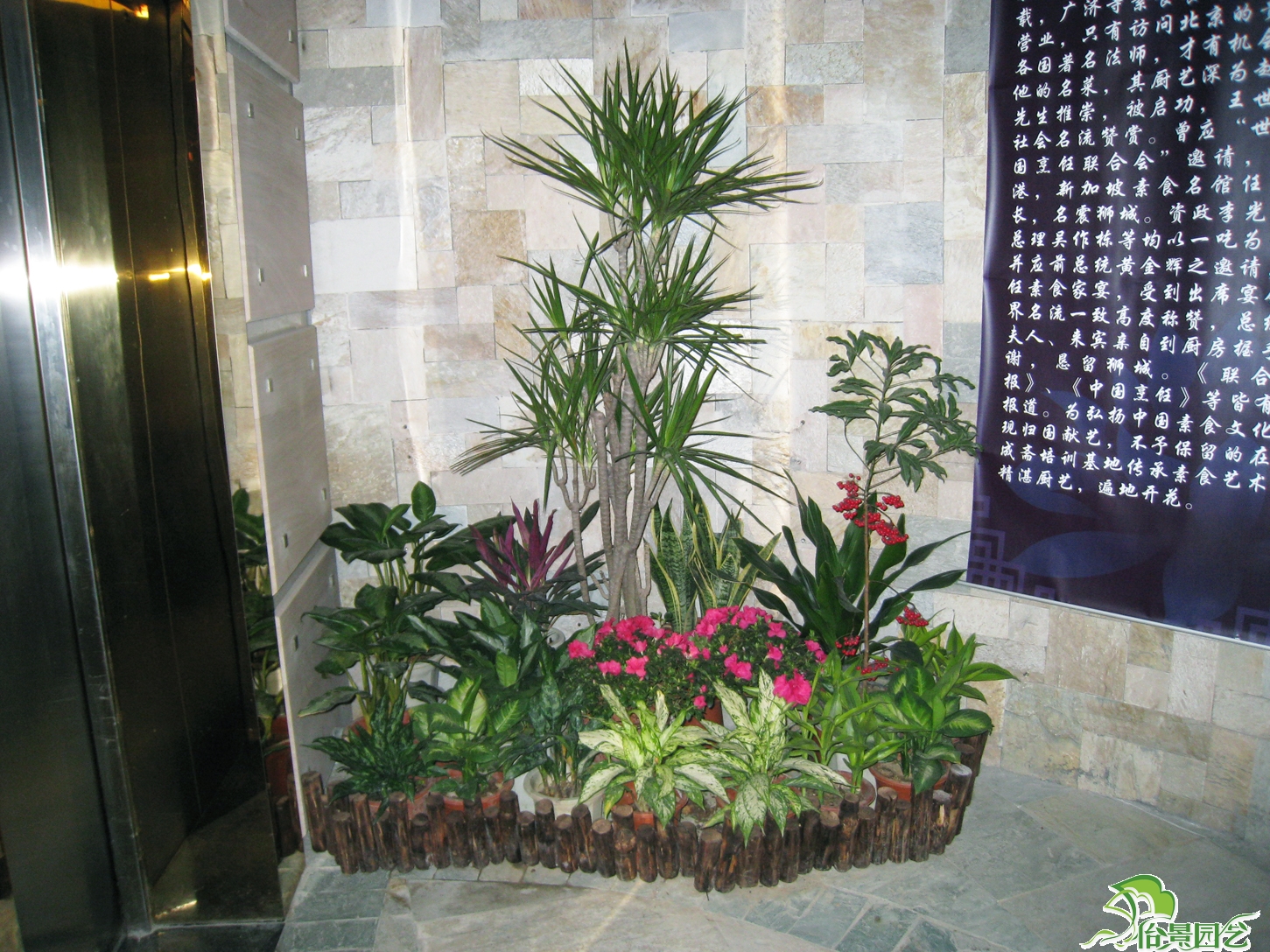 Ϸʻ