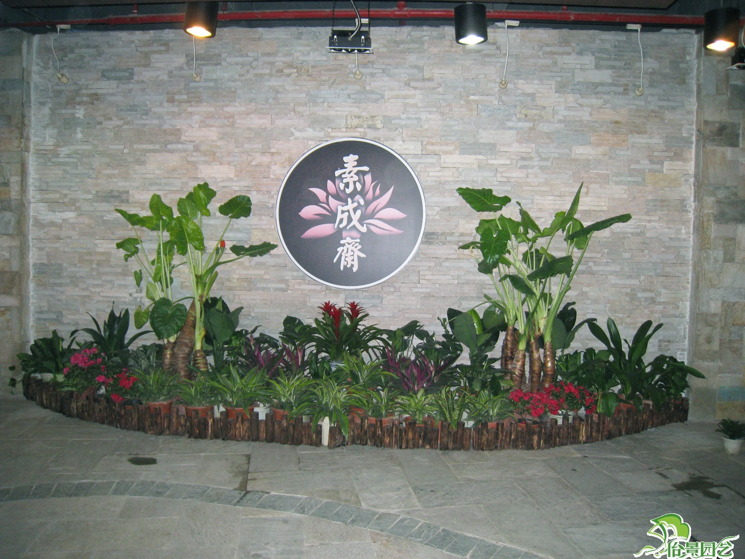 Ϸʻ